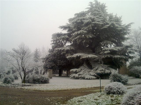 Il parco dell'hotel in una suggestiva imagine invernale