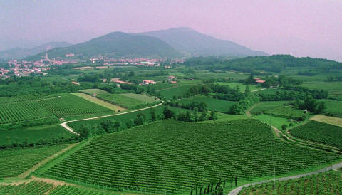 Paesaggio della Franciacorta